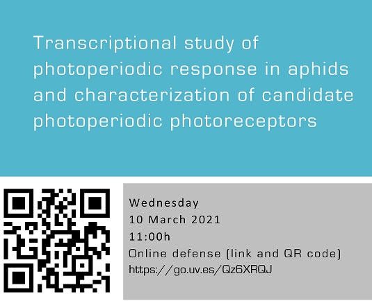 Transcriptional study of photoperiodic response in aphids and characterization of candidate photoperiodic photoreceptors